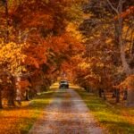 Best Day Trips From Toronto